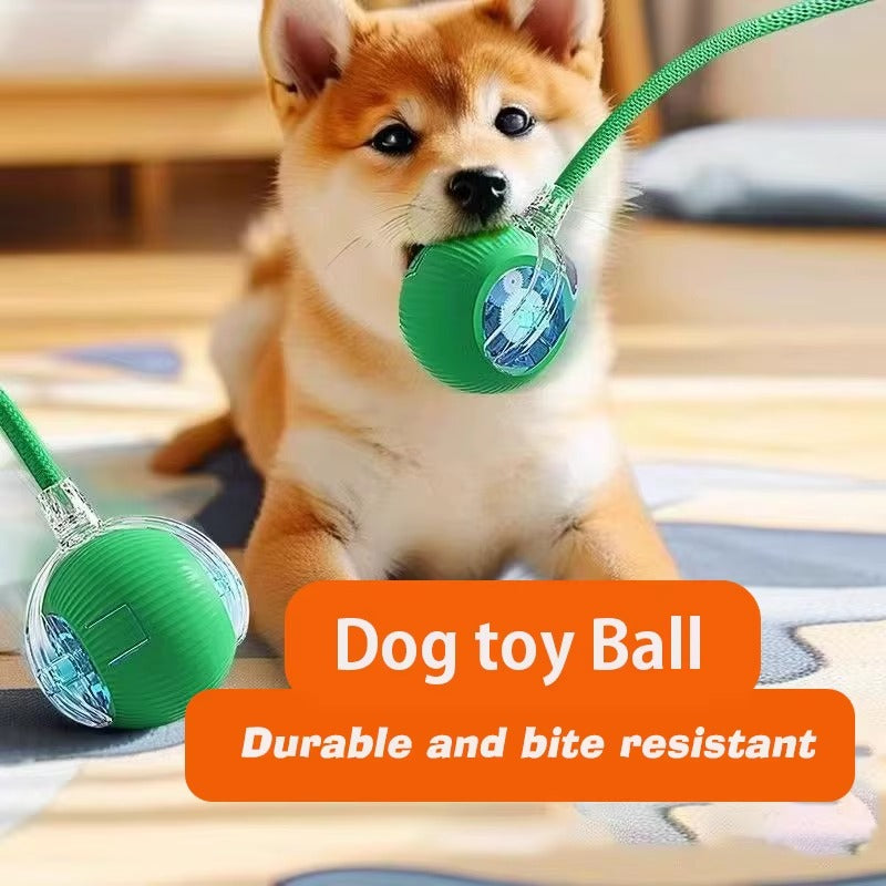 New Dog Interactive Ball Toy,Automatic Rolling Dog Ball Rechargeable,Smart Puppy Interactive Toy,Intelligent Balls Toy for Dogs Green with sound