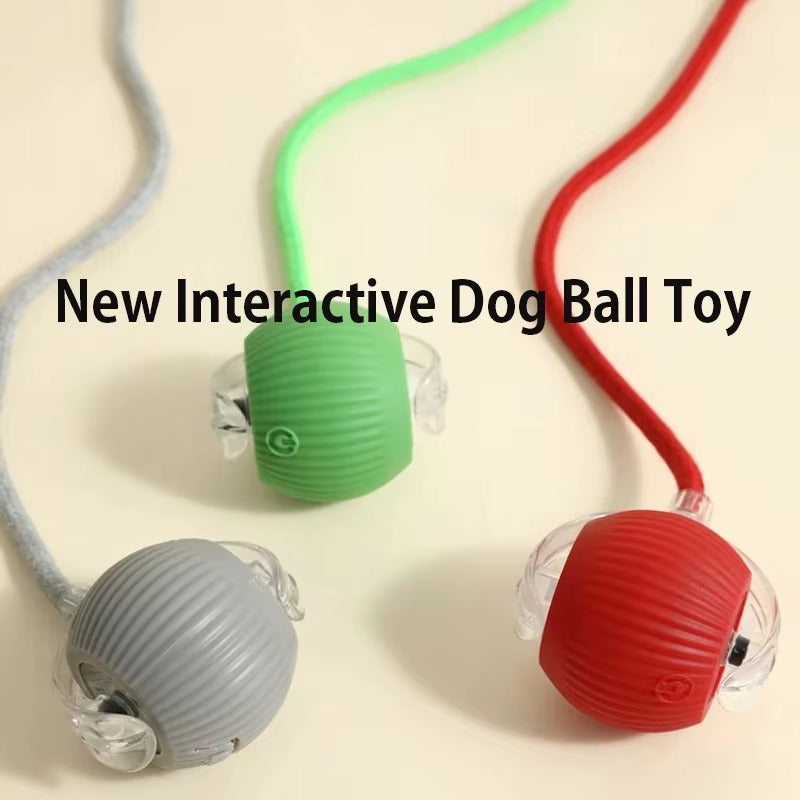 New Dog Interactive Ball Toy,Automatic Rolling Dog Ball Rechargeable,Smart Puppy Interactive Toy,Intelligent Balls Toy for Dogs Green with sound
